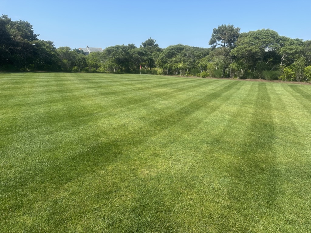 Pristine lawn stripes on a Nantucket property